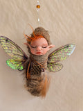 Baby fairy Hatchling with wings